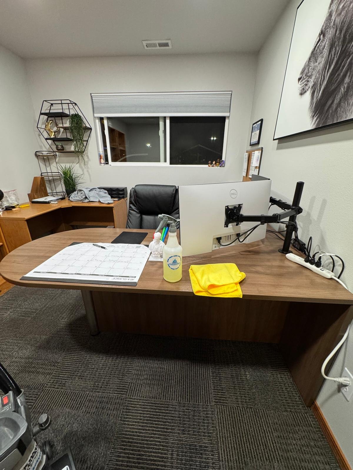 Deep Cleaning Before